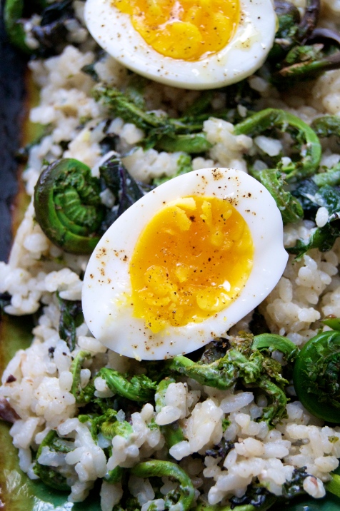 Carolina Gold Rice with Fiddleheads, Kale, and Anchovies with an Egg